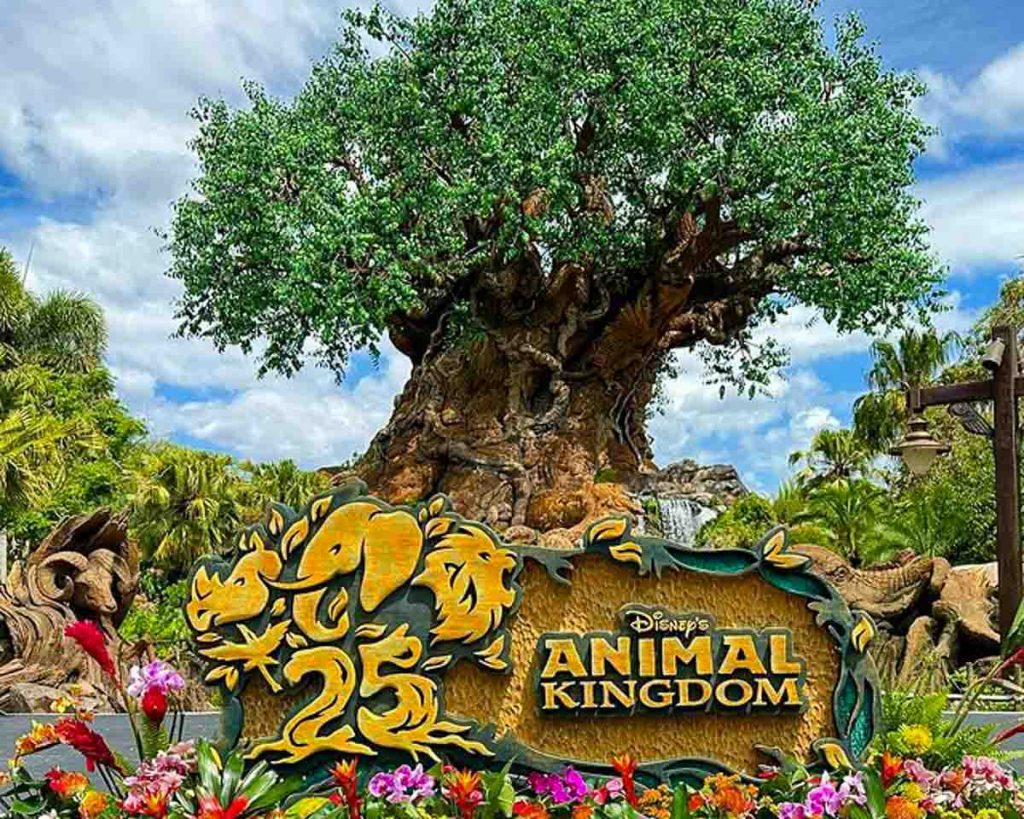 Disney's Animal Kingdom Entrance - Unique Disney Fan Destinations