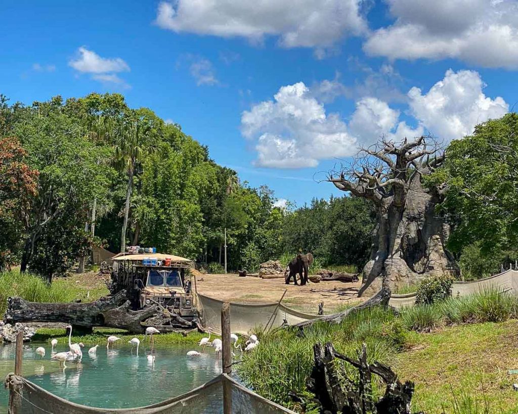Elephant at Kilimanjaro Safaris Rare Disney inspired Attractions