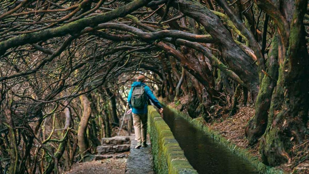 PR6 Levada das 24 Fontes Hike - Hidden Gems in Portugal