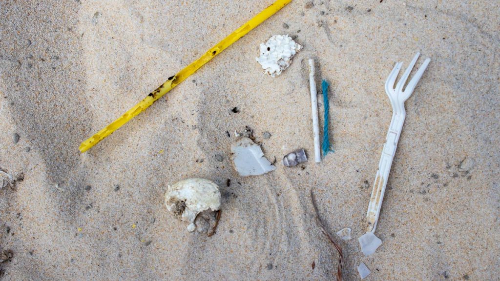 Beach Cleanup at Club Med Bintan — Retreat in Bintan