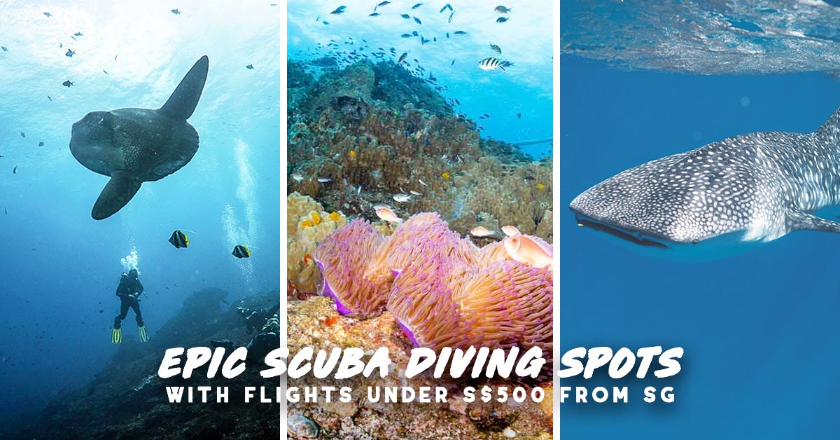 5 Budget-friendly Scuba Diving Sites With Flights Under S$500 For a ...