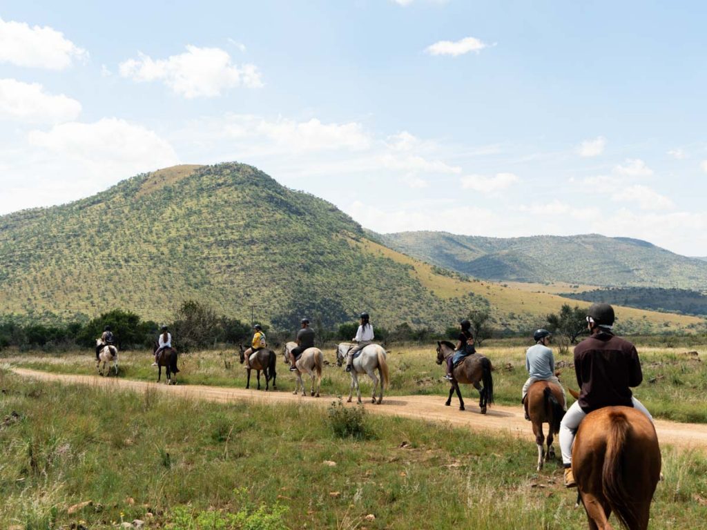 Horseback Riding - Kruger Safari The Travel Intern