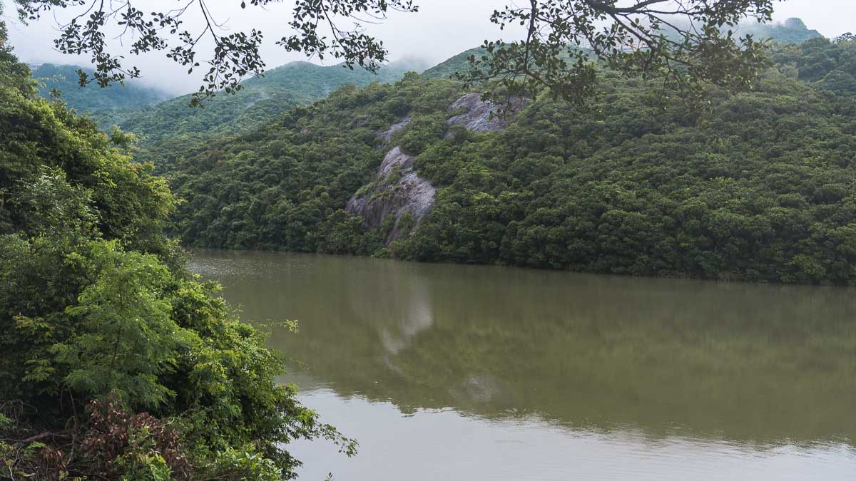 Pok Fu Lam Resevoir 