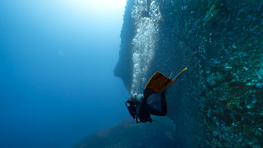 Diving in Donsol, Philippines — budget friendly dive sites 