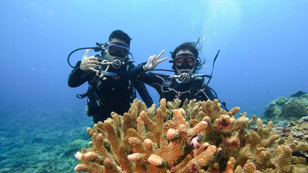 Diving amongst coral in Green Island - Adventurous Activities in Taiwan
