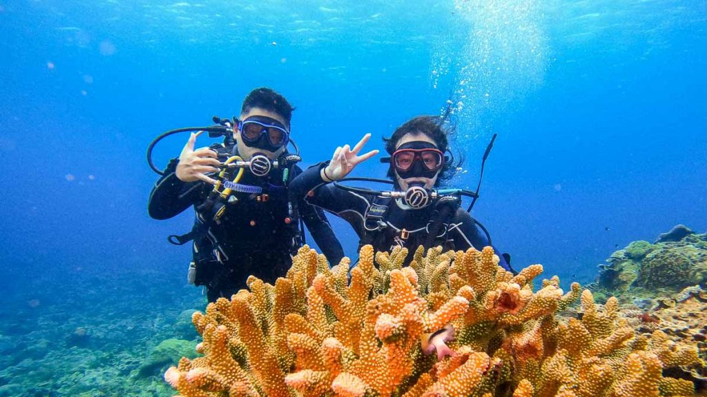 People Scuba Diving - Travelling with Young Kids