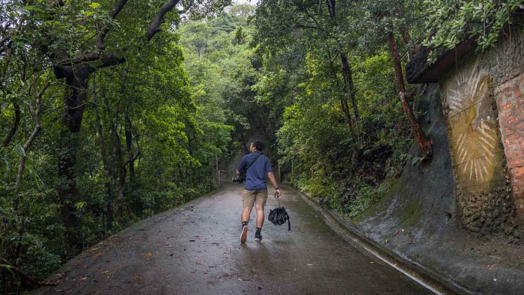 Hiking up Pok Fu Lam - Things to do in Hong Kong