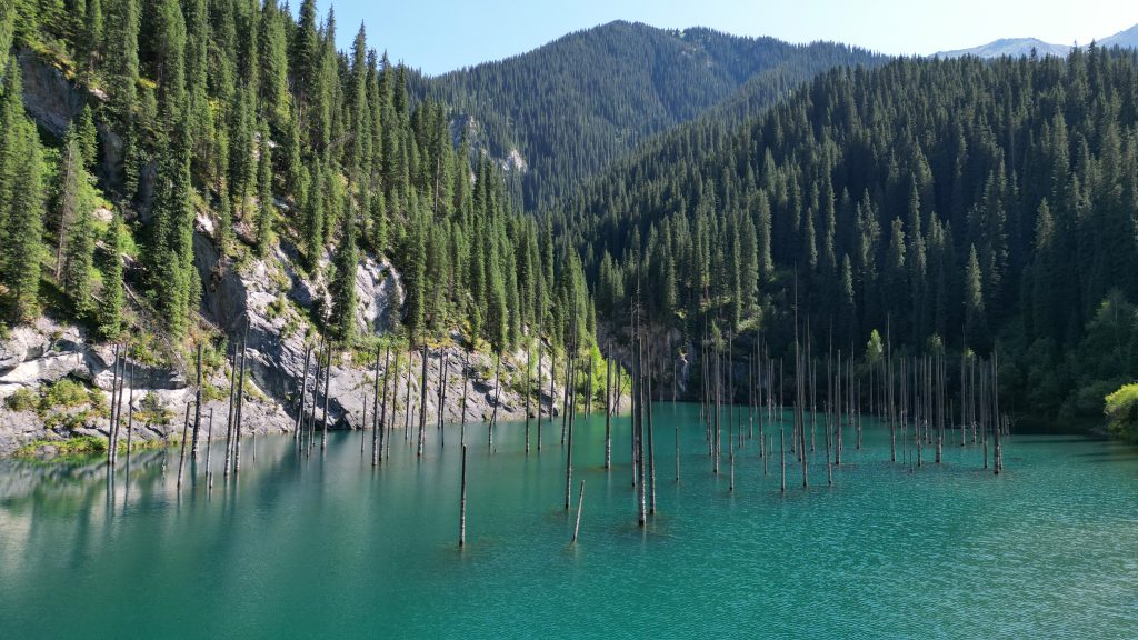 spruce trees submerged in lake kaindy - Singapore passport visa-free countries