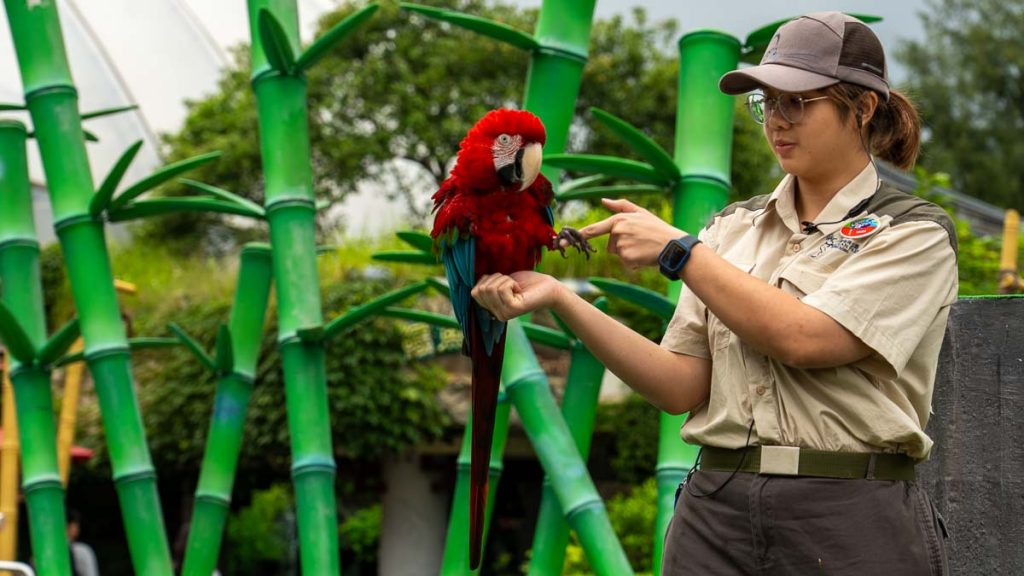 parrot at ocean park - muslim-friendly attractions in hong kong