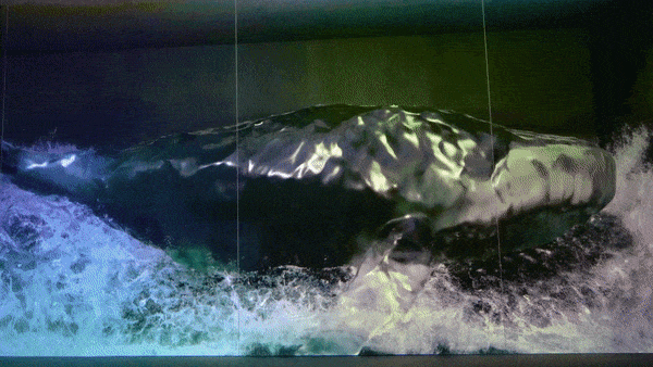 whale projections in arte m - hong kong itinerary