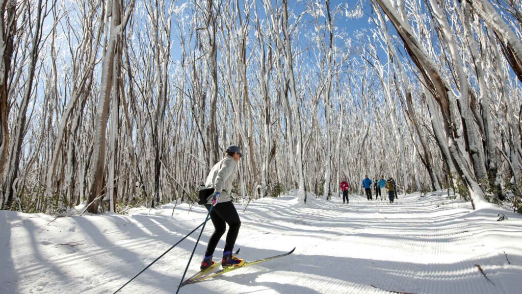Skiing at Lake Mountain_things to do in Melbourne in winter