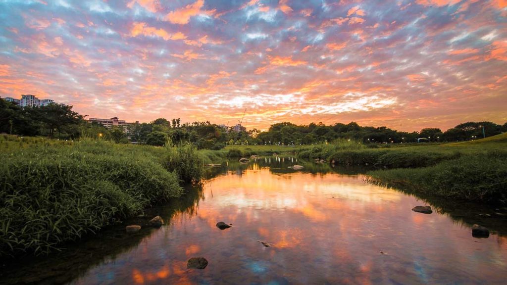 Sunset overlooking river of Bishan-Ang Mo Kio Park - Things To Do At Ang Mo Kio