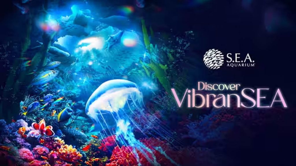 Discover VibranSEA - Things to do in Singapore October