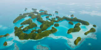 Featured Image - Flights to Palau