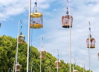 Ang Mo Kio Neighbourhood Guide — Things to Do in Singapore that Even Locals Haven’t Heard Of Featured Image - Things To Do In Singapore - Things To Do In Ang Mo Kio