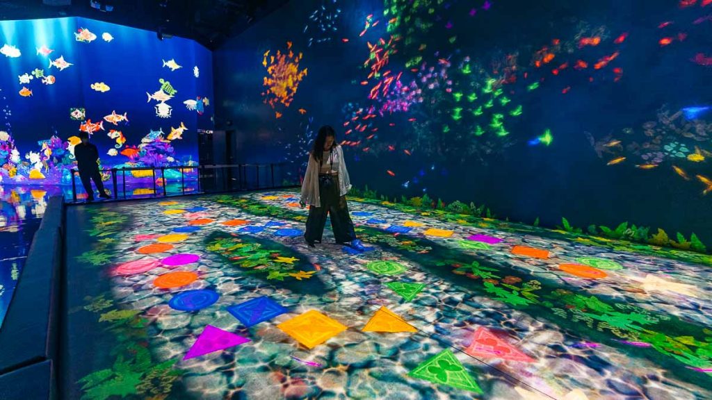 Macao teamLab Hopscotch for Geniuses- Bounce on the Water - Macao Itinerary