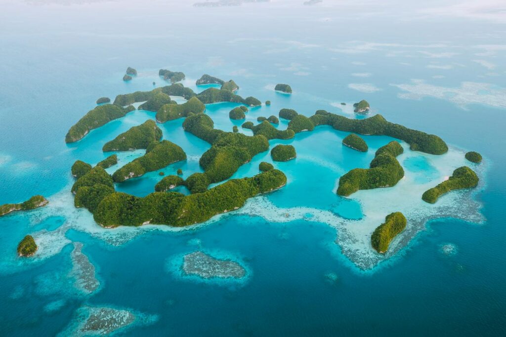Palau Island and Sea - Flight to Palau
