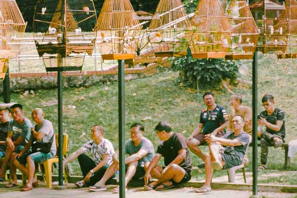 Bird owners sitting at Kebun Baru Birdsinging Club  - Things To Do In Ang Mo Kio