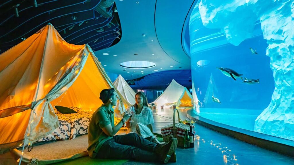 Glamping with the Penguins at Bird Paradise - Things to do in Singapore