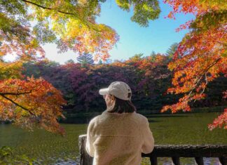 5 Underrated Day Trips Under 2hrs from Tokyo — Win First Class Round-Trip Tickets to Japan! Kumobe Pond - Exploring Japan's secret spots