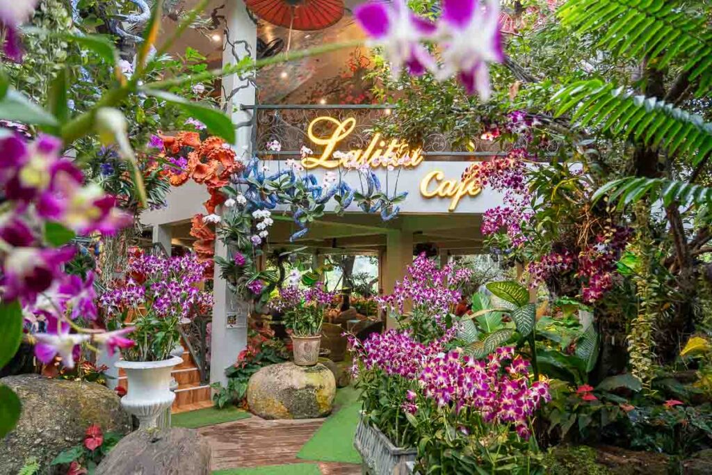 Lalitta Café - Chiang Rai Day Trip in Thailand