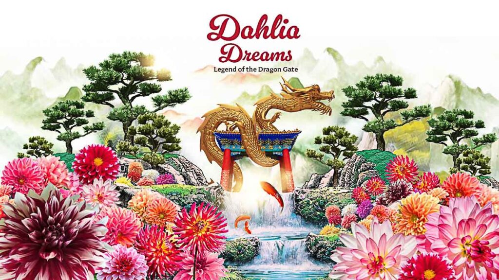 Dahlia Dreams Flower Dome Gardens by the Bay - Things to Do in Singapore Jan Feb 2024