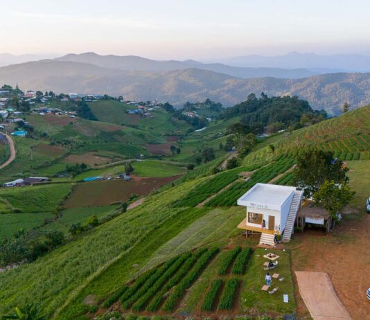8D7N Northern Thailand Itinerary Starting in Chiang Mai — Sky Adventures, Mountain Road Trips, and Trendy Cafes Northern Thailand Road Trip From Chiang Mai