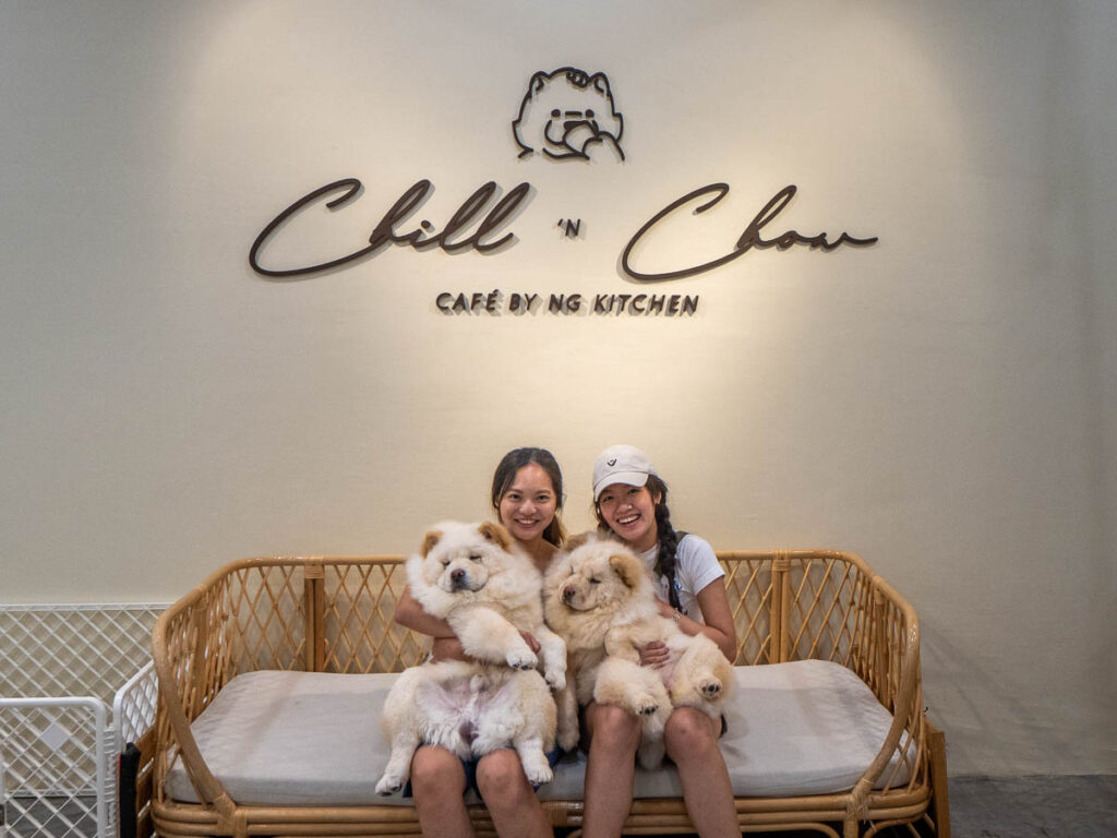 Girls carrying Chow chow puppies from Chill 'N Chow cafe - Pet cafes at Mt Austin