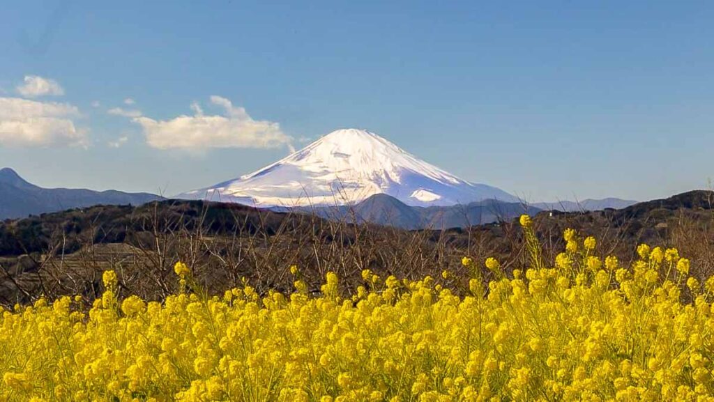 Mount Fuji view from Ninomiya Azumayama Park (via @tokyo.daytrip_kanagawa via Instagram) - Non-touristy Tokyo itinerary