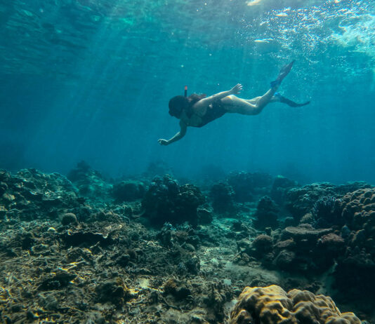 Featured - Things to do in Kota Kinabalu