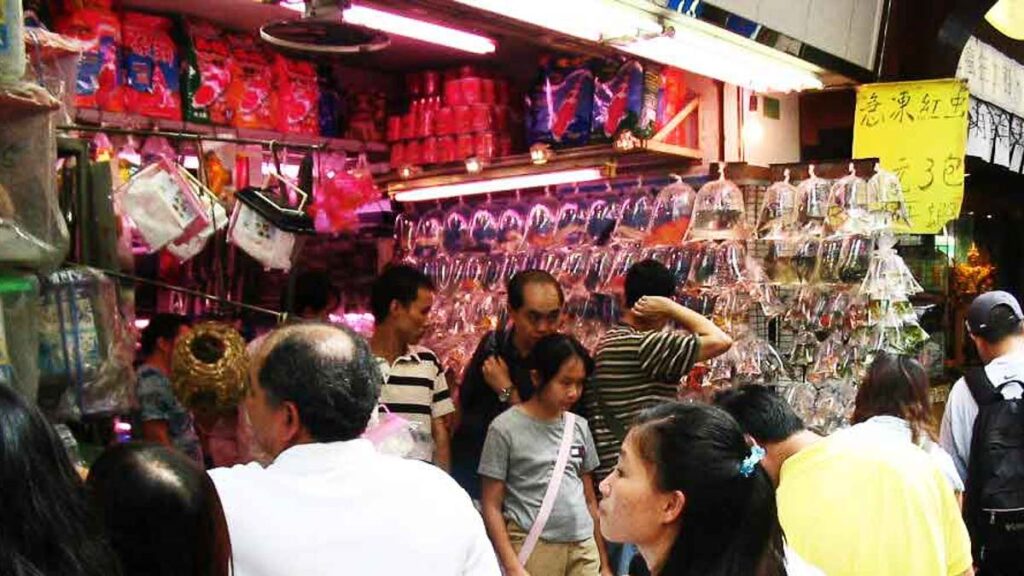 People at Goldfish Market - Things to do in HK