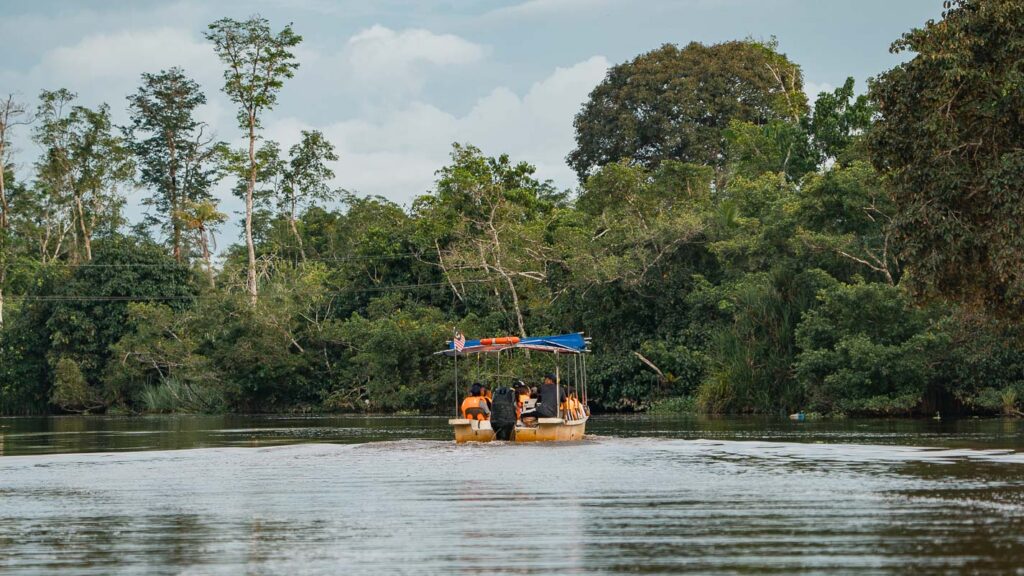 Kilas Wetland Proboscis Monkeys Boat Safari - Things to do in Kota Kinabalu
