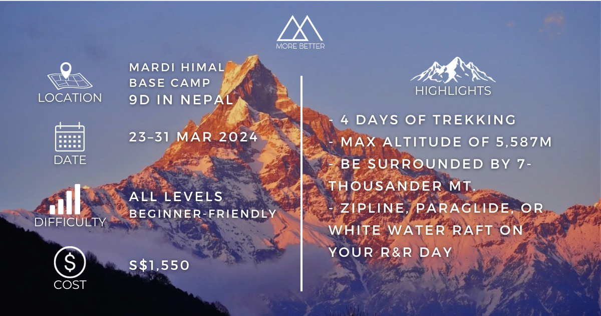Mardi Himal with The Travel Intern - beginner friendly hike