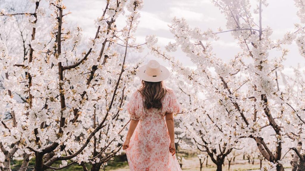 Girl at CherryHill Orchards - Sakura Viewing Outside Japan