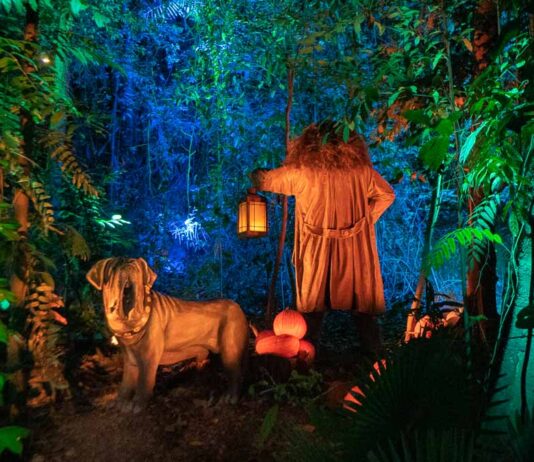 HP Hagrid - Harry Potter Experience Singapore