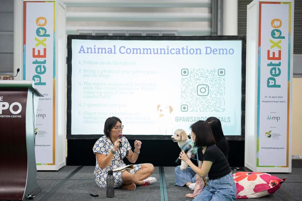 PetExpo 2024 - Things to do in Singapore March 2024