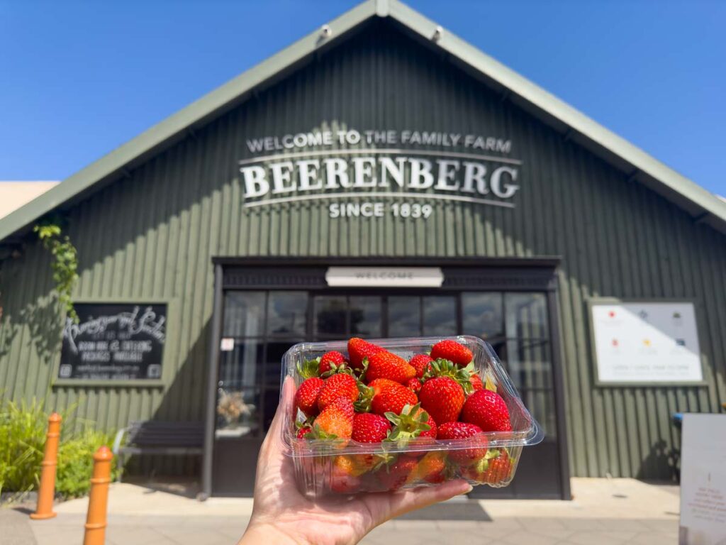 Freshly picked strawberries from Beerenberg Farm in Adelaide Hills - Adelaide attractions