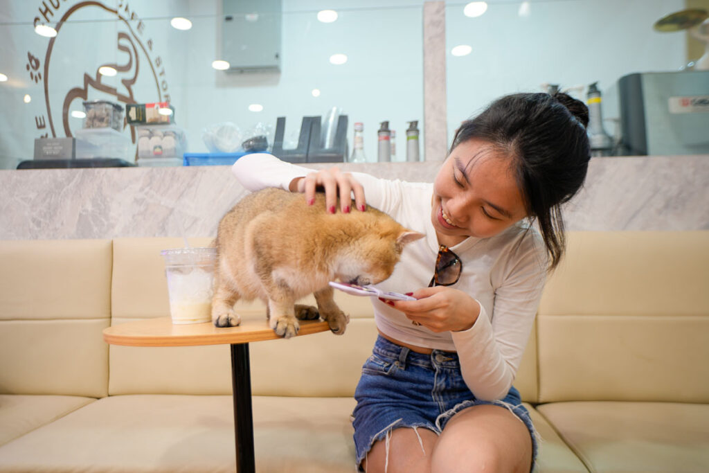 Girl feeding cat at Chucky Cat Cafe Johor Bahru