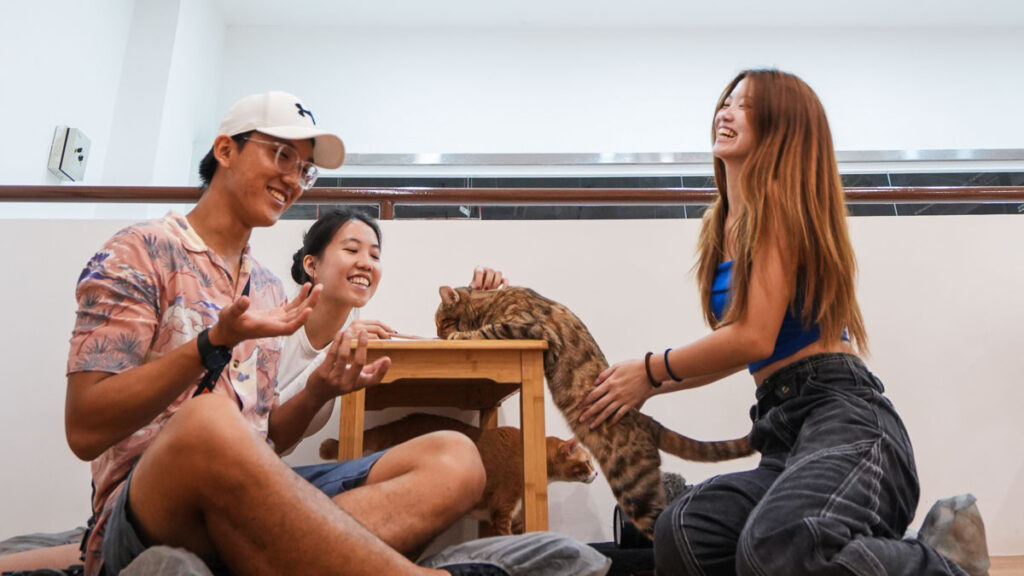 Friends petting cat at Chucky Cat Cafe in JB