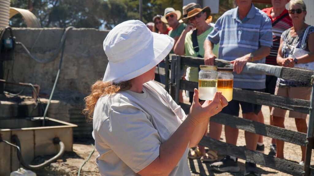 Woman presenting the process of distilling eucalyptus oil at Emu Ridge Distillery - Things to do on Kangaroo Island