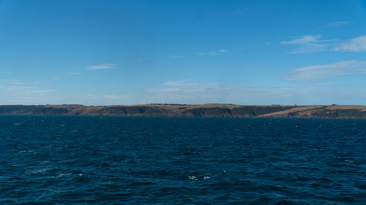 Kangaroo Island from the ferry - Things to do in South Australia