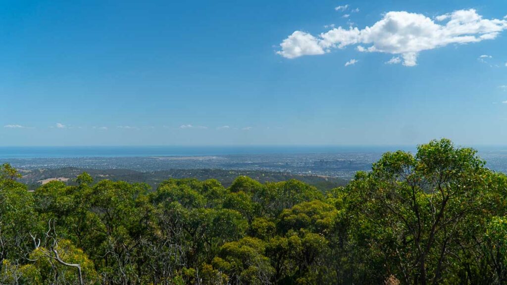 Mount Lofty Summit Viewing Point - Things to do in Adelaide Hills
