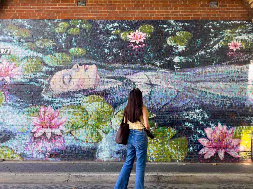 Ophelia mural by Jimmy C on the East End - Adelaide Attractions