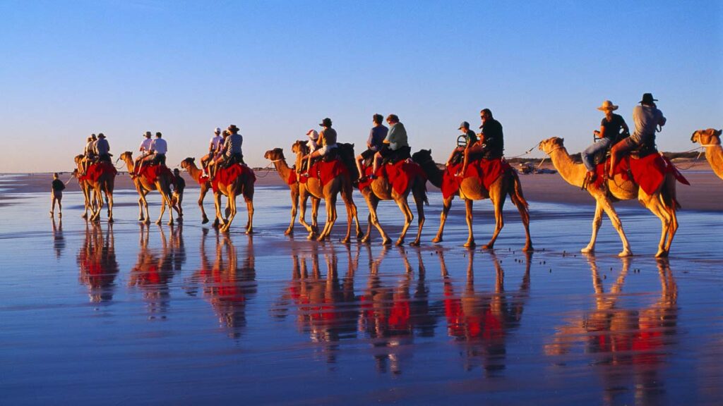 Riding camels at Cable Beach - Broome Australia