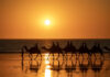 Riding camels at Cable Beach during sunset - Things to do in Broome Australia