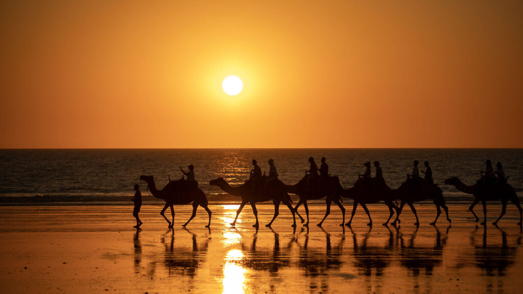 Riding camels at Cable Beach during sunset - Things to do in Broome Australia