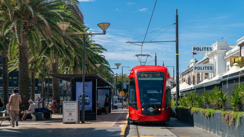 Tram at Glenelg Square - Getting around Adelaide