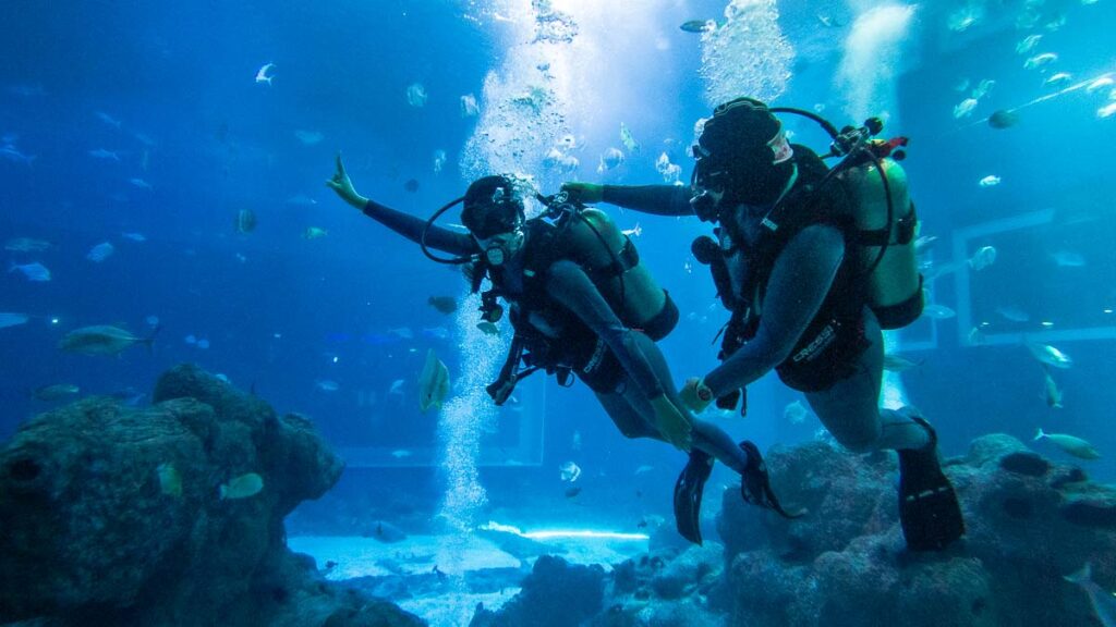 Discover Scuba Dive S.E.A Aquarium - things to do in Singapore