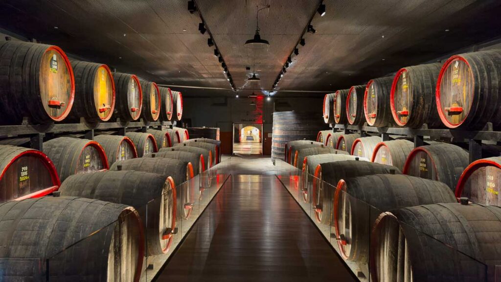Penfolds Magill Estate Underground Cellar - Things to do in Adelaide