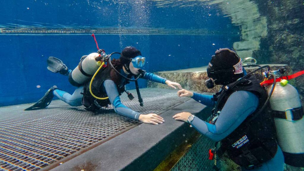 S.E.A Aquarium Discover Scuba Dive drills - things to do in Singapore
